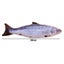 Cat Electric Fish Toy Pet 3D Simulation Fish Soft Plush Shaking Fish Toy CHK12N Carousel 8