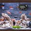 Digital LCD Aquarium Thermometer Waterproof Fish Tank Sensor with Probe T CHK12N Carousel 9