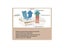 160X200cm Waterproof Mattress Cover Luxury Terry Cloth Mattress Protector Sheet Carousel 6