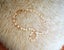 Pearl necklace very good lustre Carousel 3