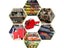 Price Label Tagging Gun Carousel 6
