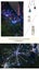 LED solar fireworks lights/outdoor lawn dandelion light string decoration lights Carousel 3
