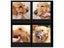 Dog Training Carousel 5