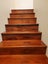 ROSEWOOD BLANKS - 147 x 24mm - 52.5m - TS7046 Carousel 15
