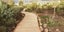GARAPA DECKING, WATERSHED PROFILE, ETHICALLY SOURCED, 140 x 21mm - Buy Per Metre Carousel 8