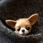 Non finished Relaxed DIY KIT Handmade Pocket Animal Pet Doll Toy Wool Nee CHK12N Carousel 7