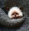 Non finished Relaxed DIY KIT Handmade Pocket Animal Pet Doll Toy Wool Nee CHK12N Carousel 10