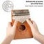 17 Keys Thumb Piano EQ Kalimba Set Mbria Acacia Wood Link Speaker Pickup CHK12N Carousel 9