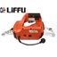 Liffu Portable Electric Hoist 230V With Remote 4.6m 450Kg Carousel 1