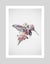 Kolibri by Daniel Taylor A2 Art Print Framed (White) Carousel 3