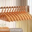 10PCS Retro Wide-Shoulder Non-Slip Hanger Closet Organizer Hangers For Cl CHK12N Carousel 8