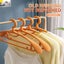 10PCS Retro Wide-Shoulder Non-Slip Hanger Closet Organizer Hangers For Cl CHK12N Carousel 5