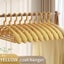 10PCS Retro Wide-Shoulder Non-Slip Hanger Closet Organizer Hangers For Cl CHK12N Carousel 11