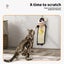 Pawz Interactive Pet Toy Set Cat Tunnel Bed Feather Teaser Dog Scratching Board Carousel 3
