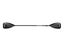 WavePassion X2 inflatable SUP Carousel 3
