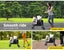 Pawz Pet Stroller Dog Cat Large Carrier Travel Pushchair Foldable Pram 4 Wheels Carousel 6