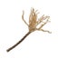 Loading Image 2 of 3