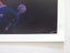 Kylie Minogue "Spinning Around/ Pop Princess" signed Photo + Authentication Carousel 8