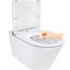 Intelligent Toilet Suite Carousel 3