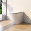 Intelligent Toilet Suite Carousel 7
