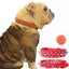 Anti-Bite Spiked Studded Pet Dog Collar PU Leather for Dogs Sport Padded CHK12N Carousel 7