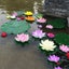5PCS/Set Colorful Artificial Fake Floating Water Lily Flower Lotus Leaf P CHK12N Carousel 6