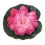 5PCS/Set Colorful Artificial Fake Floating Water Lily Flower Lotus Leaf P CHK12N Carousel 7