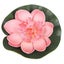 5PCS/Set Colorful Artificial Fake Floating Water Lily Flower Lotus Leaf P CHK12N Carousel 8