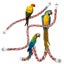 Loading Image 2 of 6