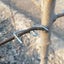 Bonsai shaper Fruit tree twig puller finalizer universal latest model Carousel 6