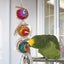 Parrot Climb Chew Toys Hanging Cockatiel Parakeet Carousel 2
