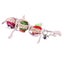 Parrot Climb Chew Toys Hanging Cockatiel Parakeet Carousel 3