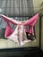 Fleece 4 Piece Large Rat Hammock Set - Choose your pattern! Carousel 5