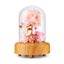 Artificial Flowers Night Light Bluetooth Speakers Flower Lamp Forever Ann CHK12N Carousel 1