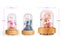 Artificial Flowers Night Light Bluetooth Speakers Flower Lamp Forever Ann CHK12N Carousel 4