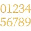 Golden 10cm Exterior House Number for Home Apartment Door Numbers Outdoo CHK12N Carousel 15