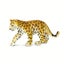 Safari Ltd Leopard Cub Carousel 1