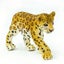 Safari Ltd Leopard Cub Carousel 3