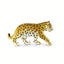 Safari Ltd Leopard Cub Carousel 4