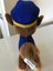 Paw Patrol Plushy set Carousel 11