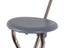 Walking Stick - Walking Stick - Walking Stick Carousel 5