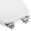 Stainless Steel Toilet Seat Hinge Universal Adjustable Replacement Flush CHK12N Carousel 6