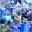 HUACAN 5d Diy Diamond Painting Owl Animal Diamond Art Full Drill Embroide CHK12N Carousel 2