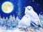HUACAN 5d Diy Diamond Painting Owl Animal Diamond Art Full Drill Embroide CHK12N Carousel 3