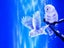 HUACAN 5d Diy Diamond Painting Owl Animal Diamond Art Full Drill Embroide CHK12N Carousel 1