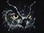 HUACAN 5d Diy Diamond Painting Owl Animal Diamond Art Full Drill Embroide CHK12N Carousel 14
