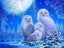 HUACAN 5d Diy Diamond Painting Owl Animal Diamond Art Full Drill Embroide CHK12N Carousel 15