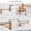 Brushed Gold Kitchen Faucet Wall Mount Bathroom Basin Faucet Cold Water W CHK12N Carousel 10