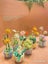 Building Blocks Flower Bouquet PID2081 Carousel 7