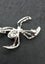 Silver spider Brooch Carousel 5